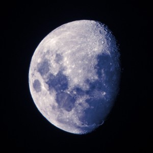 blue-moon-tb